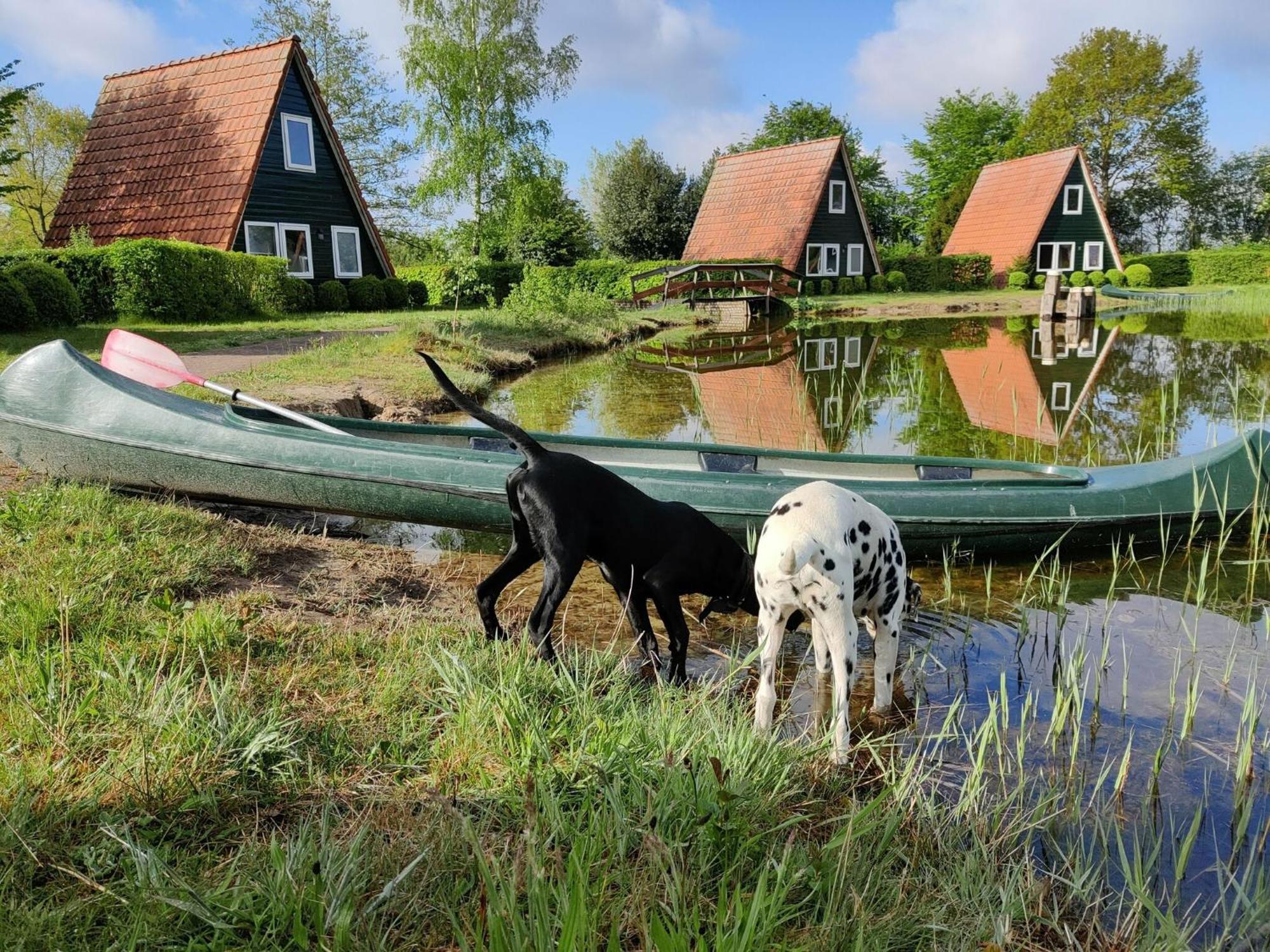Vakantiepark Eigen Wijze Bant Bagian luar foto